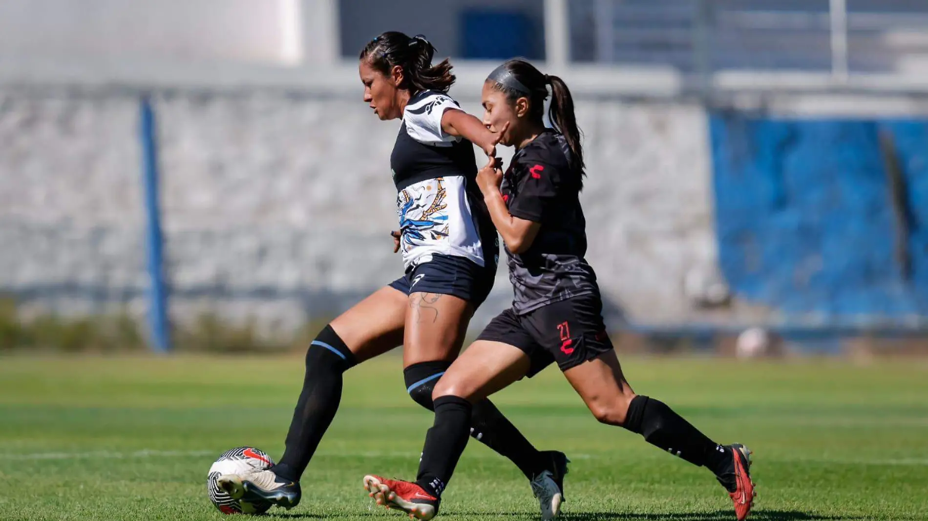 Gallos femenil